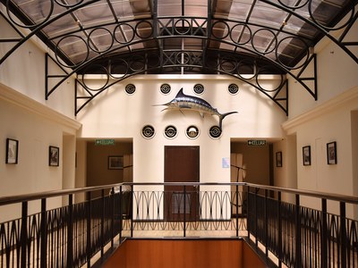 Hotel Sixty3